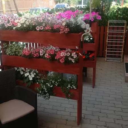 Keri Vendeghaz * Mosonmagyaróvár